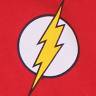 Толстовка DC Comics - Flash Logo