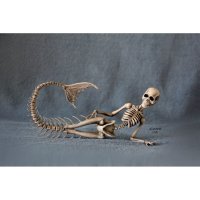 Фигурка Skeleton Of Mermaid