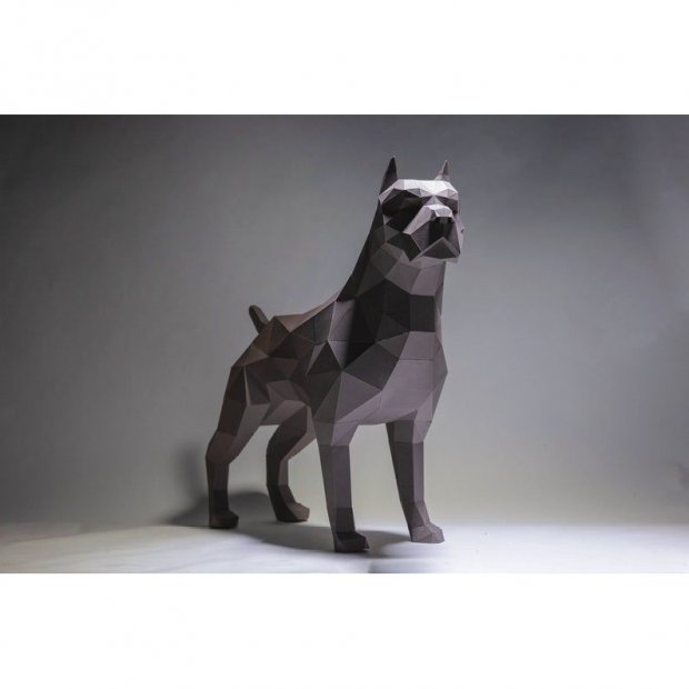 3D конструктор Pit Bull