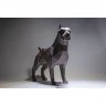 3D конструктор Pit Bull