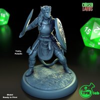Фигурка Tielly Paladin (Unpainted)