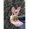 Мягкая игрушка Chihuahua Puppy V.2 (16 см)