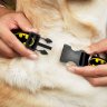 Ошейник для собак DC Comics - Batman Black/Yellow (38-66 см)