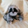 Мягкая Игрушка Sloth