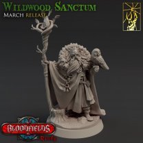 Фигурка Forest wizard with an owl (Unpainted)