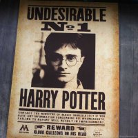 Постер Harry Potter - Undesirable Person [Handmade]