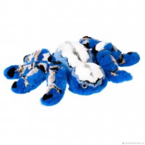 Мягкая игрушка Blue Spider (60 см)