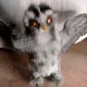 Мягкая Игрушка Owl