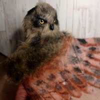 Мягкая Игрушка Frame Owl