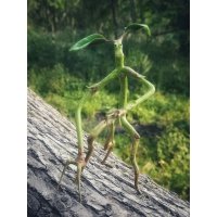 Фигурка Fantastic Beasts And Where To Find Them - Bowtruckle Pickett [Handmade]