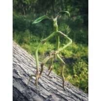 Фигурка Fantastic Beasts And Where To Find Them - Bowtruckle Pickett [Handmade]