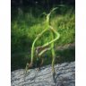 Фигурка Fantastic Beasts And Where To Find Them - Bowtruckle Pickett