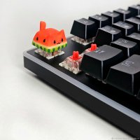 Кастомный Кейкап для Клавиатуры Cat-Watermelon