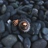 Брошь-булавка Nautilus with skull