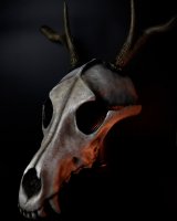 Маска Wolf Skull with Horns