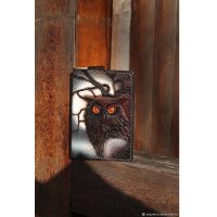 Обложка на ежедневник Night Owl