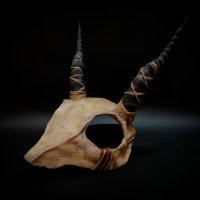Маска Shamanic Skull
