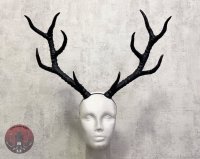 Ободок Branched antlers of a deer