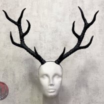 Ободок Branched antlers of a deer