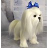 Мягкая игрушка Maltese (25 см)