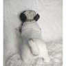 Мягкая игрушка Pug (31 см)